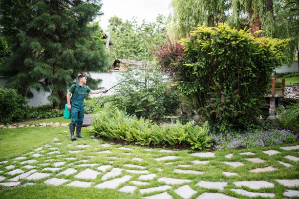 Best Affordable Pest Control Services  in Edgewood, PA
