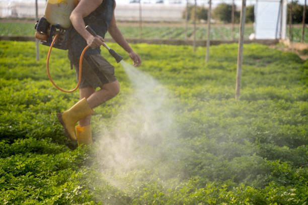 Best Affordable Pest Control Services  in Edgewood, PA