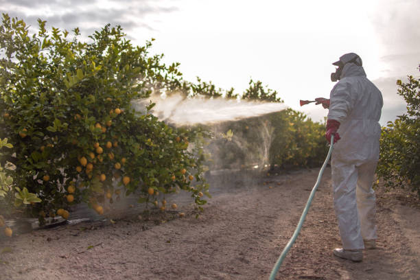 Best Commercial Pest Control Services  in Edgewood, PA