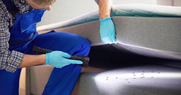 Reliable Edgewood, PA Pest Control Solutions