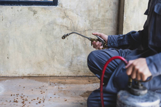 Best Affordable Pest Control Services  in Edgewood, PA